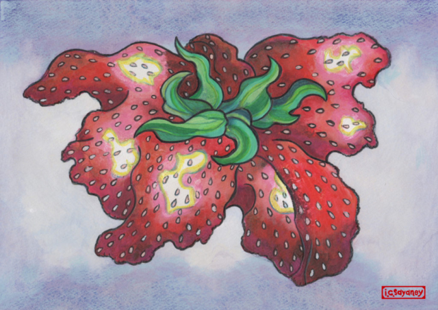 超苺ーThe Strawberry